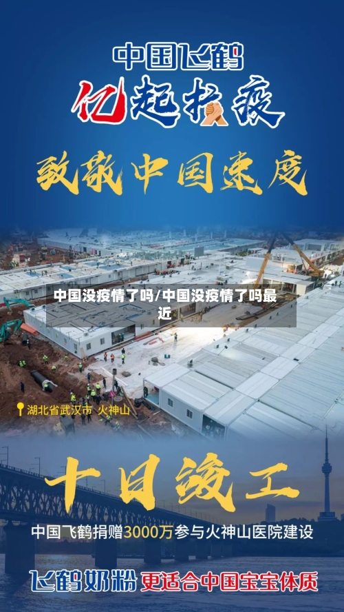 中国没疫情了吗/中国没疫情了吗最近-第3张图片