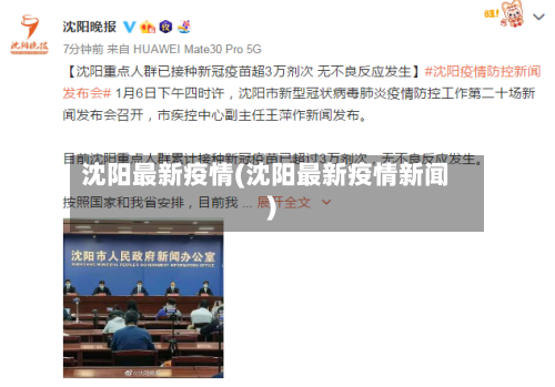 沈阳最新疫情(沈阳最新疫情新闻)-第2张图片