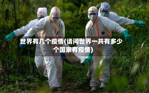 世界有几个疫情(请问世界一共有多少个国家有疫情)-第2张图片