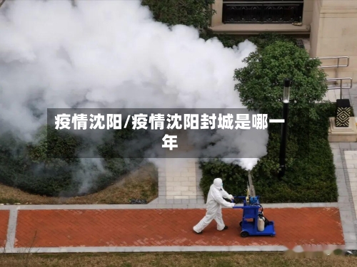 疫情沈阳/疫情沈阳封城是哪一年
