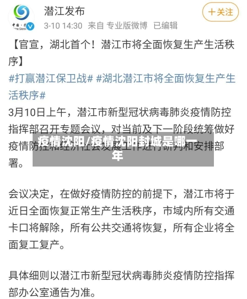 疫情沈阳/疫情沈阳封城是哪一年-第2张图片