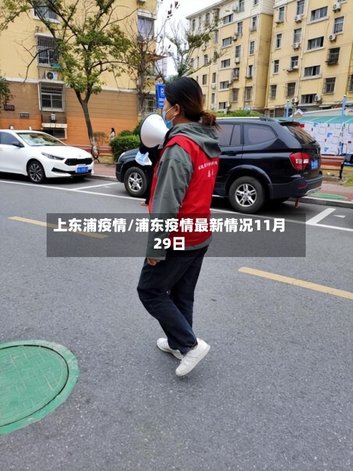 上东浦疫情/浦东疫情最新情况11月29日-第2张图片