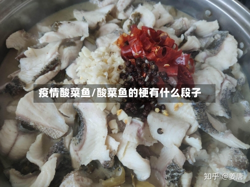 疫情酸菜鱼/酸菜鱼的梗有什么段子-第2张图片