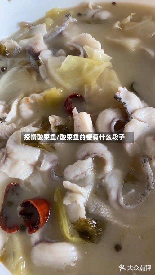 疫情酸菜鱼/酸菜鱼的梗有什么段子