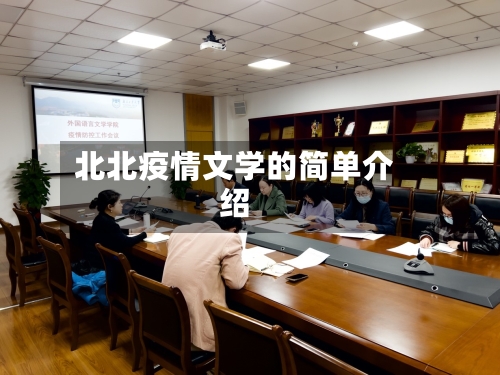 北北疫情文学的简单介绍-第3张图片