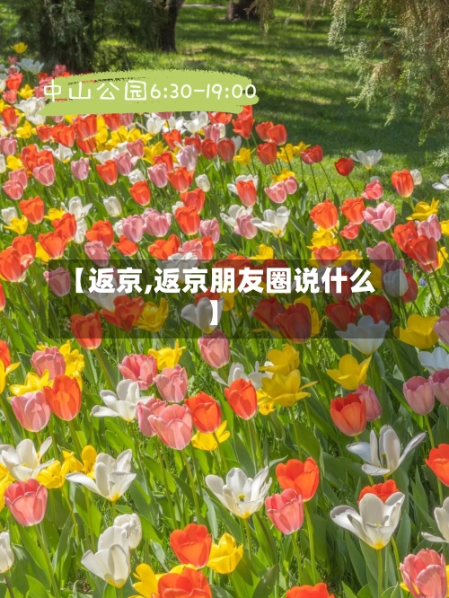 【返京,返京朋友圈说什么】-第3张图片