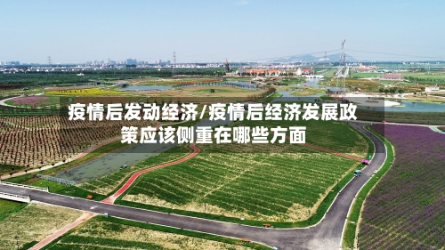 疫情后发动经济/疫情后经济发展政策应该侧重在哪些方面