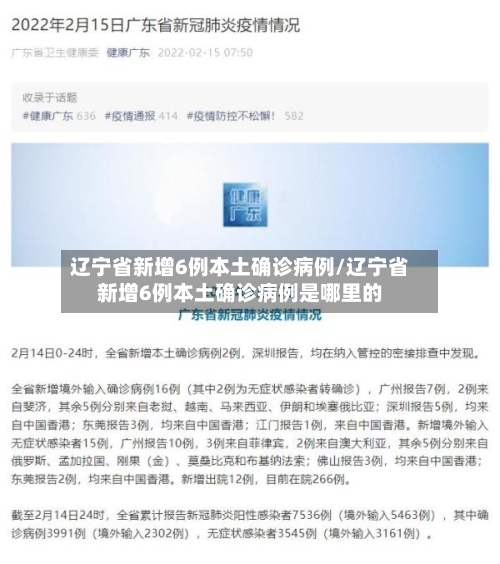 辽宁省新增6例本土确诊病例/辽宁省新增6例本土确诊病例是哪里的