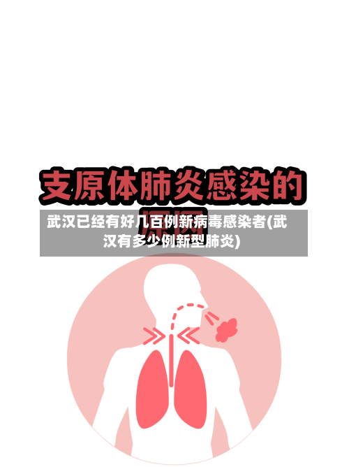 武汉已经有好几百例新病毒感染者(武汉有多少例新型肺炎)