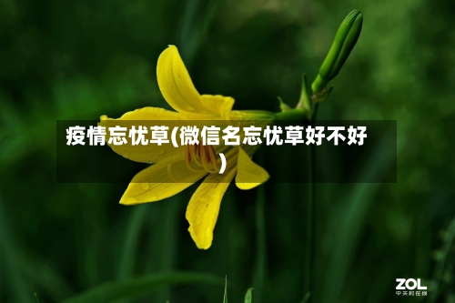 疫情忘忧草(微信名忘忧草好不好)-第3张图片