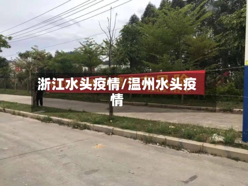 浙江水头疫情/温州水头疫情-第2张图片