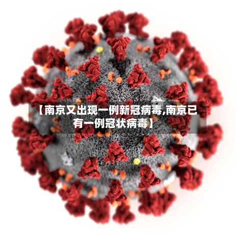 【南京又出现一例新冠病毒,南京已有一例冠状病毒】