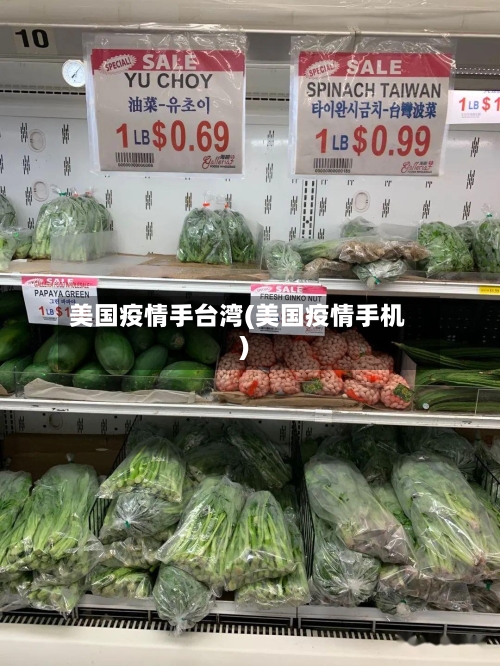 美国疫情手台湾(美国疫情手机)