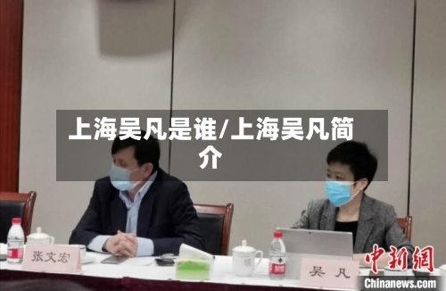 上海吴凡是谁/上海吴凡简介