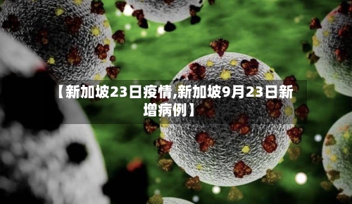 【新加坡23日疫情,新加坡9月23日新增病例】-第2张图片