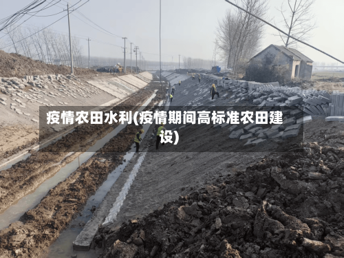 疫情农田水利(疫情期间高标准农田建设)-第2张图片