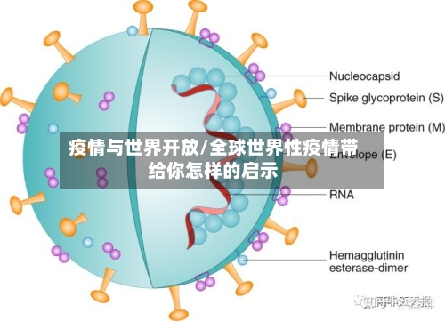 疫情与世界开放/全球世界性疫情带给你怎样的启示-第2张图片