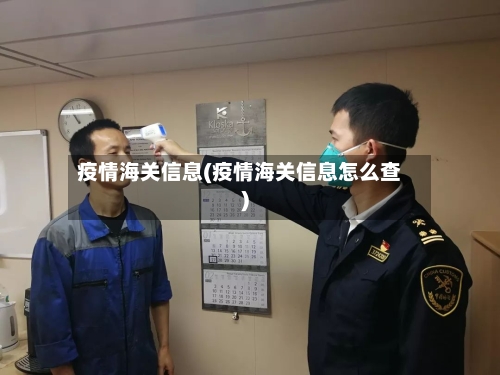 疫情海关信息(疫情海关信息怎么查)