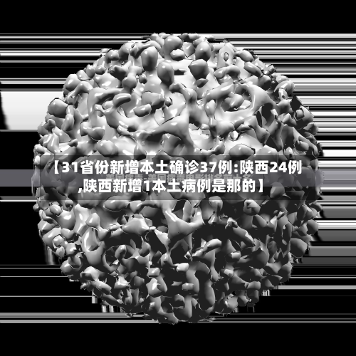 【31省份新增本土确诊37例:陕西24例,陕西新增1本土病例是那的】-第3张图片