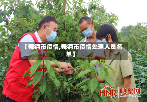 【舞钢市疫情,舞钢市疫情处理人员名单】-第3张图片