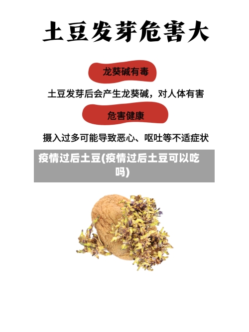 疫情过后土豆(疫情过后土豆可以吃吗)
