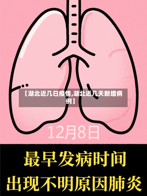 【湖北近几日疫情,湖北近几天新增病例】-第2张图片