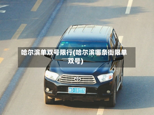哈尔滨单双号限行(哈尔滨哪条街限单双号)