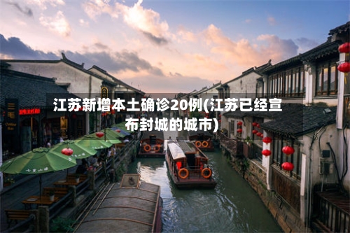 江苏新增本土确诊20例(江苏已经宣布封城的城市)-第2张图片