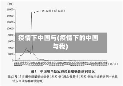 疫情下中国与(疫情下的中国与我)