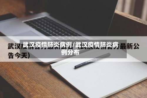 武汉疫情肺炎病例/武汉疫情肺炎病例分布