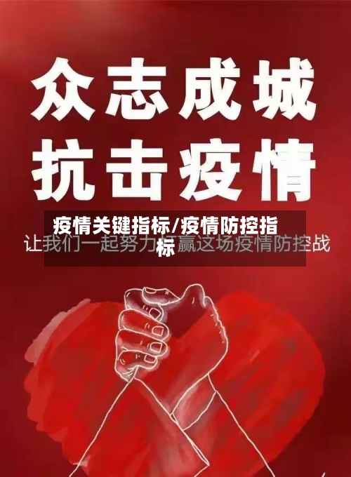 疫情关键指标/疫情防控指标-第3张图片