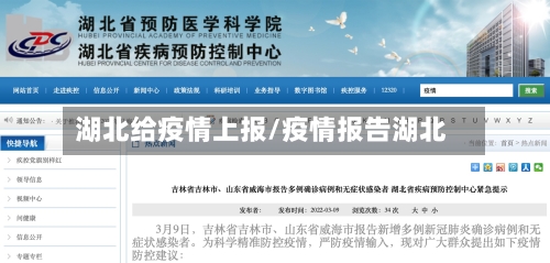 湖北给疫情上报/疫情报告湖北