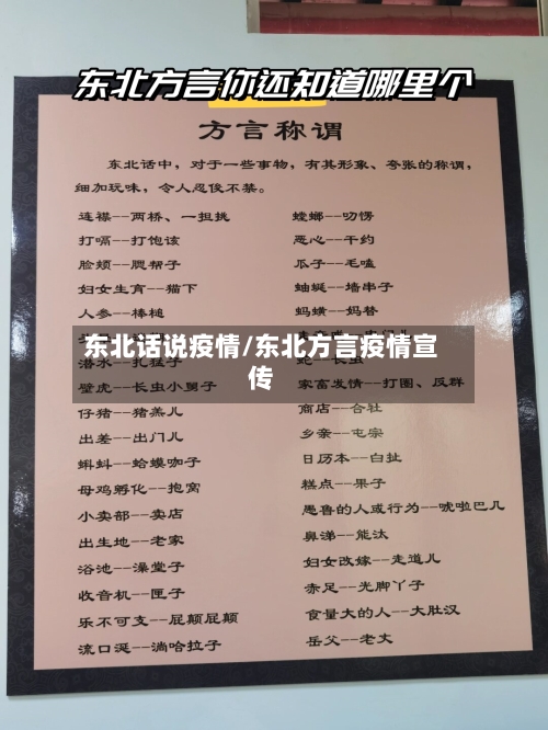 东北话说疫情/东北方言疫情宣传-第2张图片