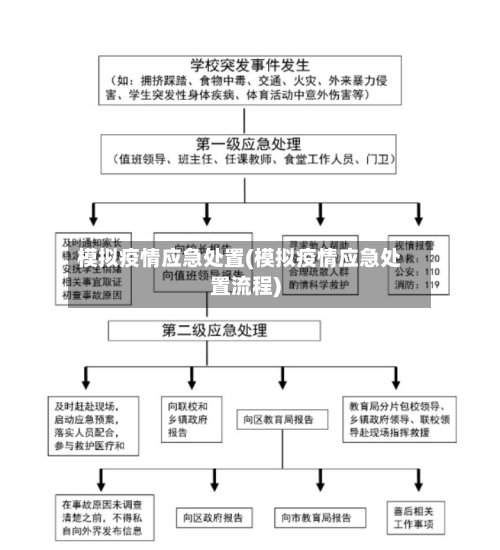 模拟疫情应急处置(模拟疫情应急处置流程)