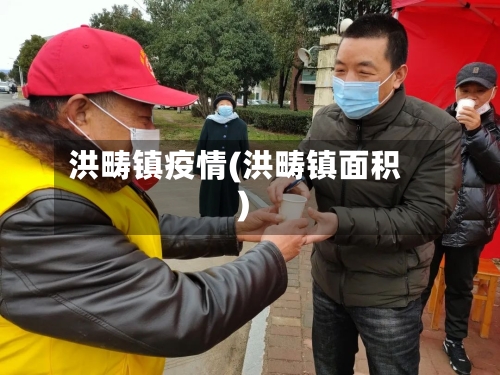 洪畴镇疫情(洪畴镇面积)