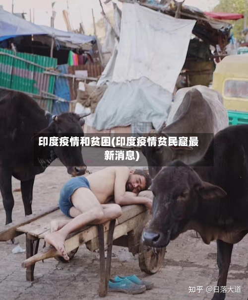 印度疫情和贫困(印度疫情贫民窟最新消息)