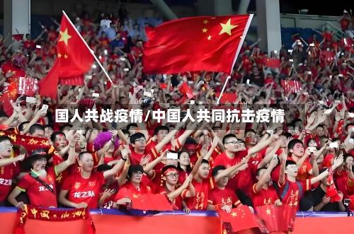 国人共战疫情/中国人共同抗击疫情-第2张图片