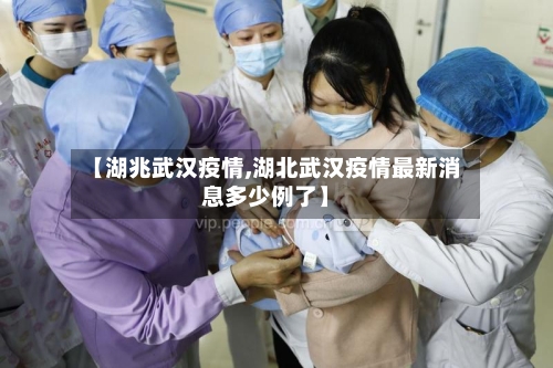 【湖兆武汉疫情,湖北武汉疫情最新消息多少例了】