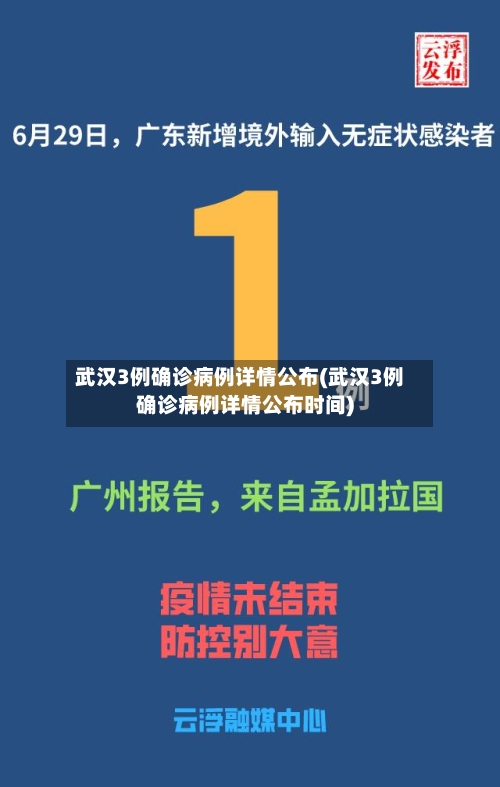 武汉3例确诊病例详情公布(武汉3例确诊病例详情公布时间)-第2张图片