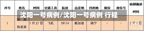 沈阳一号病例/沈阳一号病例 行程-第2张图片