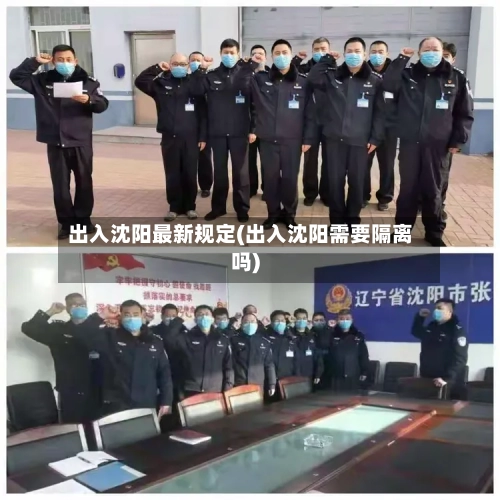 出入沈阳最新规定(出入沈阳需要隔离吗)-第2张图片