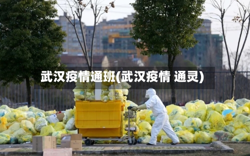武汉疫情通班(武汉疫情 通灵)-第2张图片