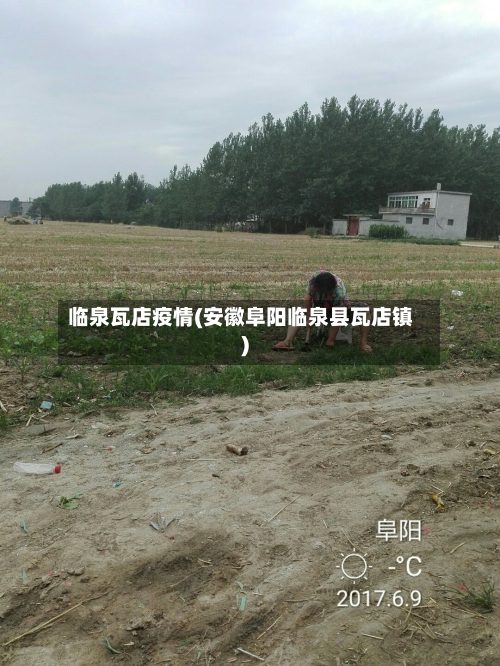 临泉瓦店疫情(安徽阜阳临泉县瓦店镇)-第3张图片