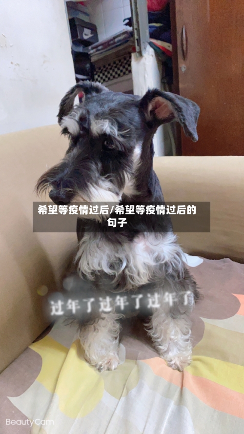 希望等疫情过后/希望等疫情过后的句子