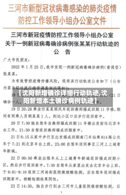 【沈阳新增确诊详细行动轨迹,沈阳新增本土确诊病例轨迹】-第2张图片
