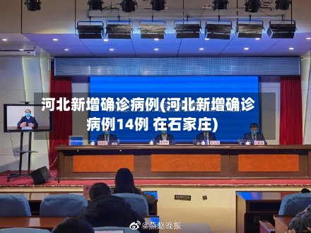河北新增确诊病例(河北新增确诊病例14例 在石家庄)
