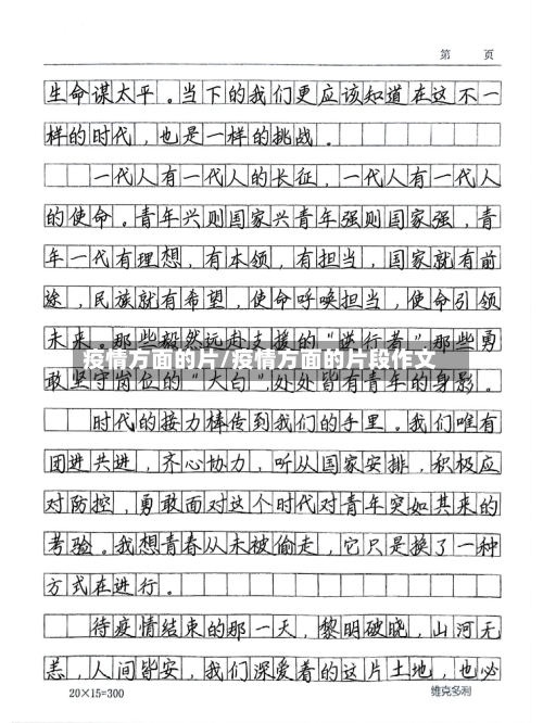 疫情方面的片/疫情方面的片段作文-第2张图片