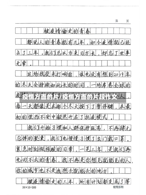 疫情方面的片/疫情方面的片段作文-第3张图片