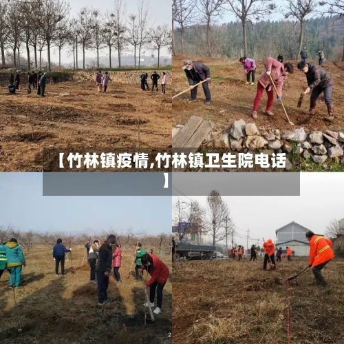 【竹林镇疫情,竹林镇卫生院电话】-第2张图片