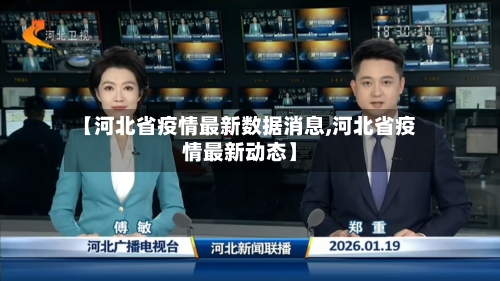 【河北省疫情最新数据消息,河北省疫情最新动态】-第3张图片